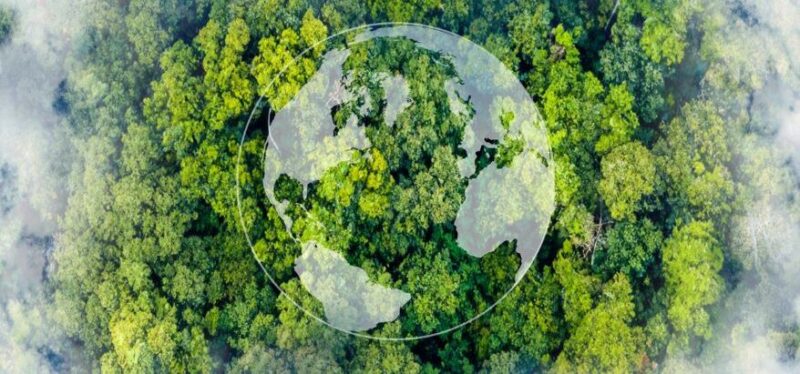 Sustainability Services